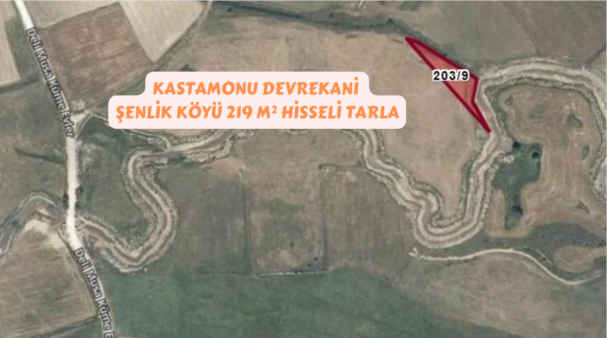 KASTAMONU DEVREKANİ ŞENLİK KÖYÜ 219 M² HİSSELİ TARLAMIZ SATILIK. - KASTAMONU DEVREKANİ fotoğraf 2